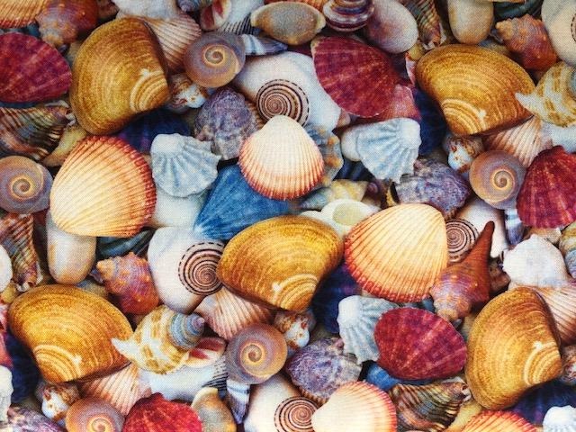 Quilting Cotton  - Sea Shells - 1/2 meter