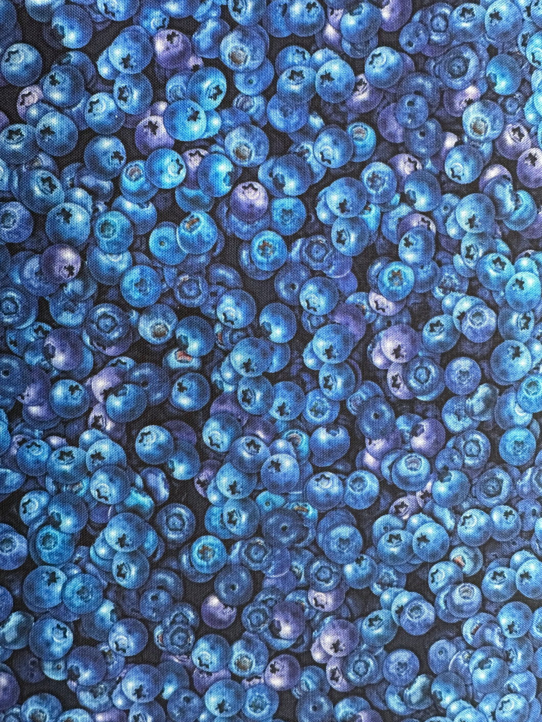 Quilting Cotton  - blueberries - 1/2 meter