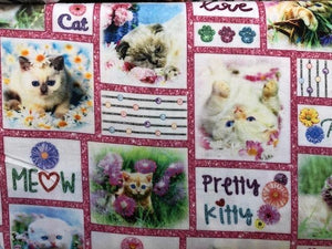 Quilting Cotton - Pretty Kitty - 1/2 meter